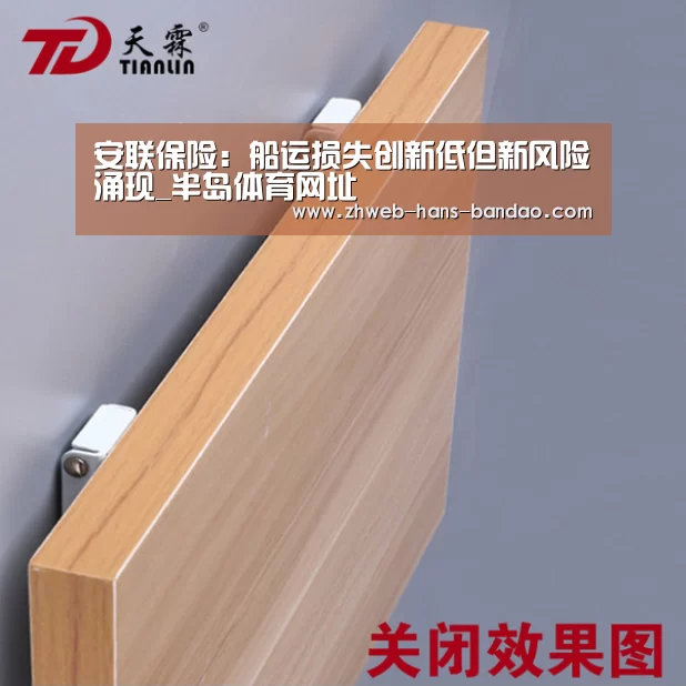 安联保险:船运损失创新低但新风险涌现_半岛体育网址(图2) 半岛体育网址