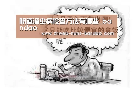 半岛体育下载
