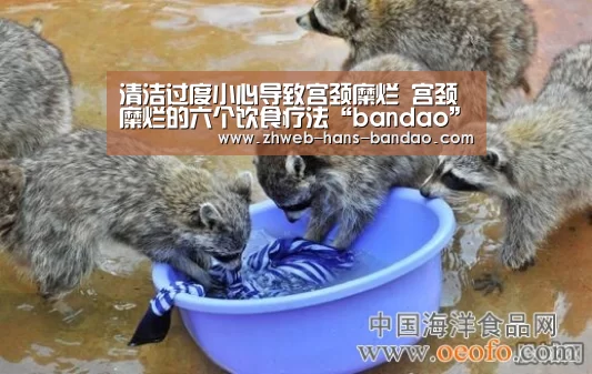 清洁过度小心导致宫颈糜烂 宫颈糜烂的六个饮食疗法“bandao”(图1) 半岛体育下载