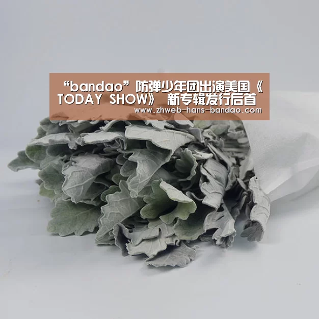 半岛体育网址