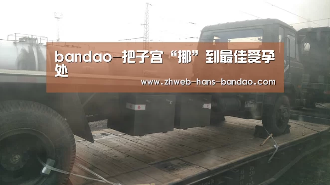 半岛体育网址