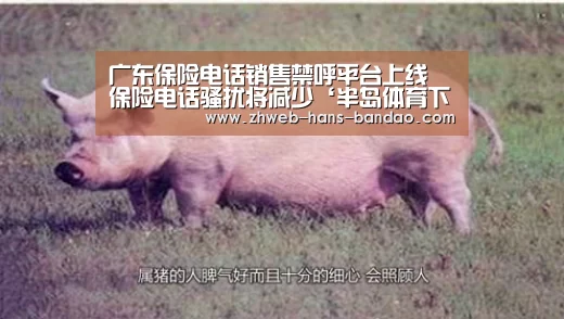 广东保险电话销售禁呼平台上线 保险电话骚扰将减少‘半岛体育下载’(图1) 半岛体育官网
