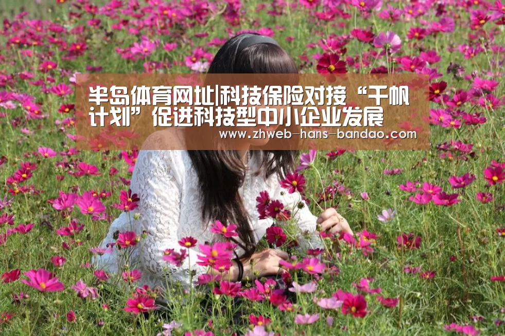 半岛体育网址|科技保险对接“千帆计划”促进科技型中小企业发展(图3) 半岛体育