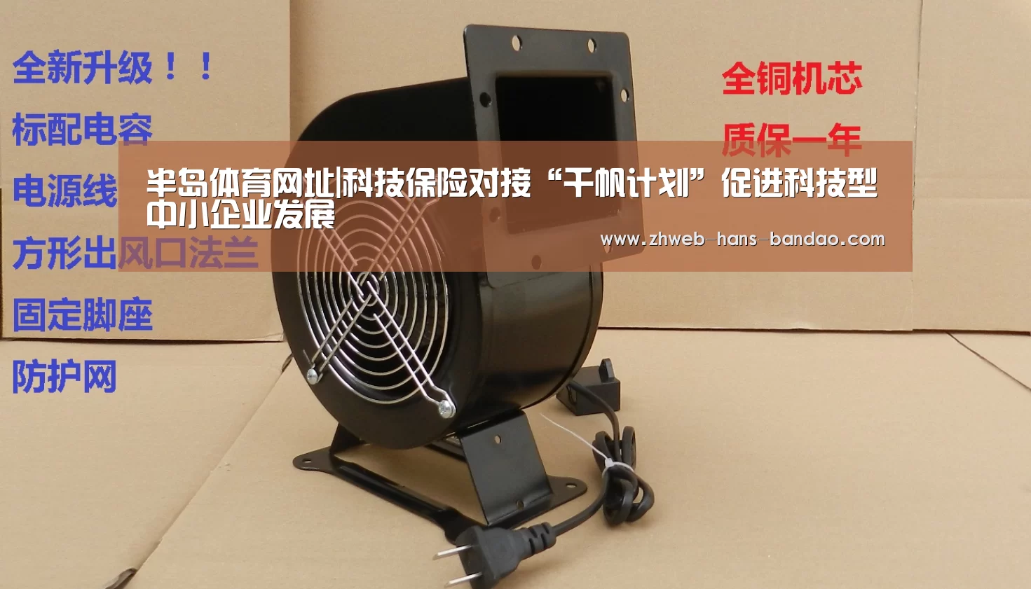 半岛体育网址|科技保险对接“千帆计划”促进科技型中小企业发展(图4) 半岛体育网址|科技保险对接“千帆计划”促进科技型中小企业发展(图4)