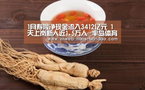 1月寿险净现金流入3412亿元 1天上岗新人近1.5万人-半岛体育网址(图2) 1月寿险净现金流入3412亿元 1天上岗新人近1.5万人-半岛体育网址(图2)