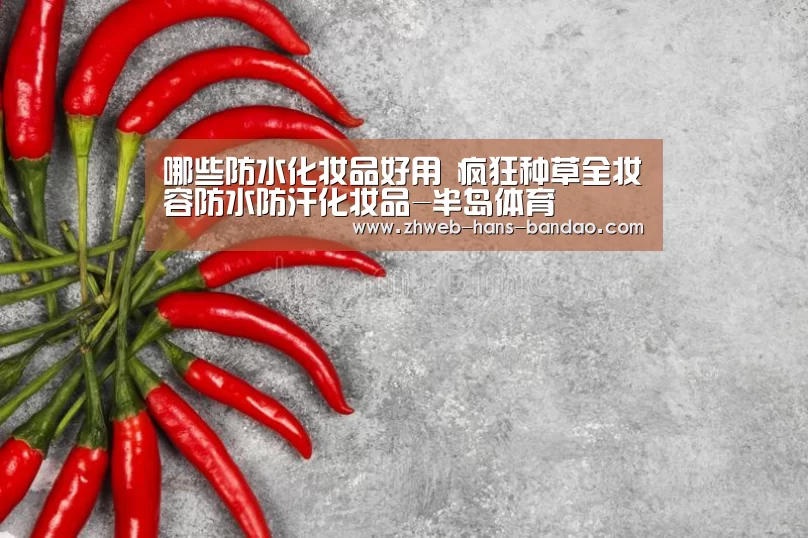 哪些防水化妆品好用 疯狂种草全妆容防水防汗化妆品-半岛体育(图1) 半岛体育官网