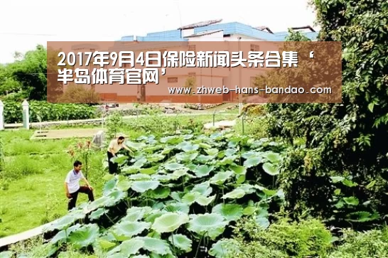 2017年9月4日保险新闻头条合集‘半岛体育官网’(图2)